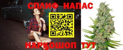 a pvp Будённовск