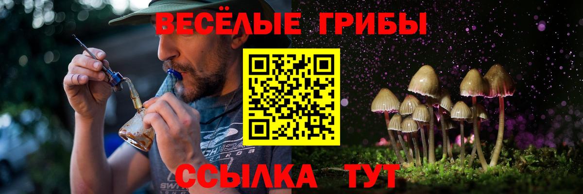 Псилоцибиновые грибы Magic Shrooms  цены   Новый Уренгой  Псилоцибиновые грибы Psilocybine cubensis  Вход с VPN 